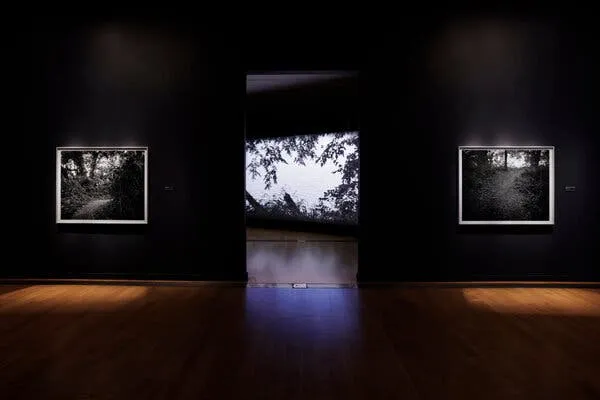 国产 - 记忆守护者纪录片