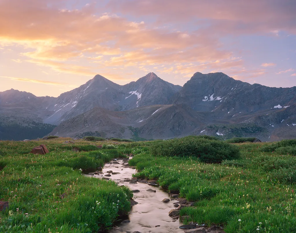 国产 - 自然科学纪录片影像