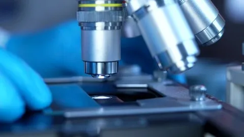 国产 - 气候科学家专访